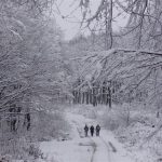 Vincekovo - Valenovac 22.01.2011-15