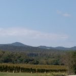 Kroz vinograde i sume 29.09.2018-0025